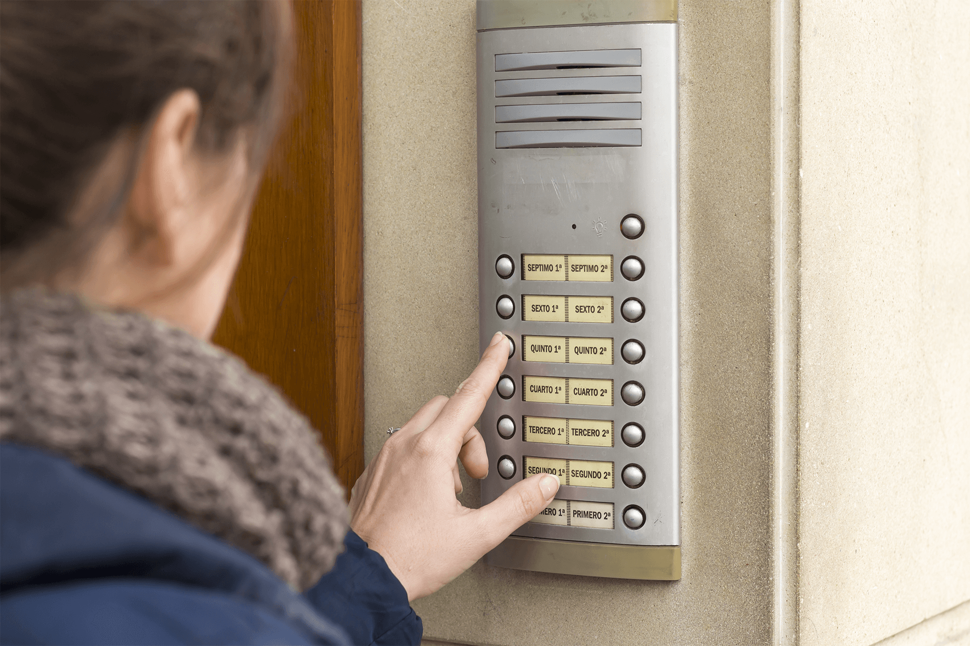 Domestic Door Entry Systems Domestic Door Entry Systems